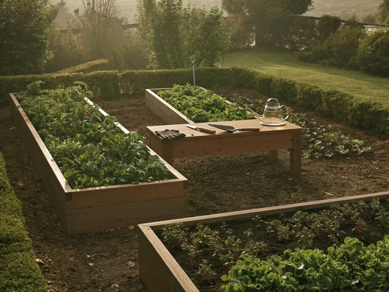 Upravená hobby zahrádka s vyvýšenými záhony a dřevěným pracovním stolem v ranní mlze